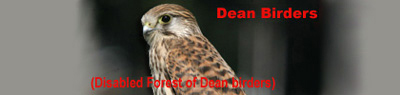 Dean Birders