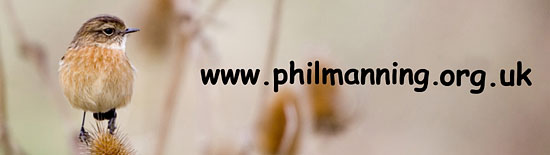 Phil Manning
