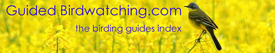 Guided Birdwatching